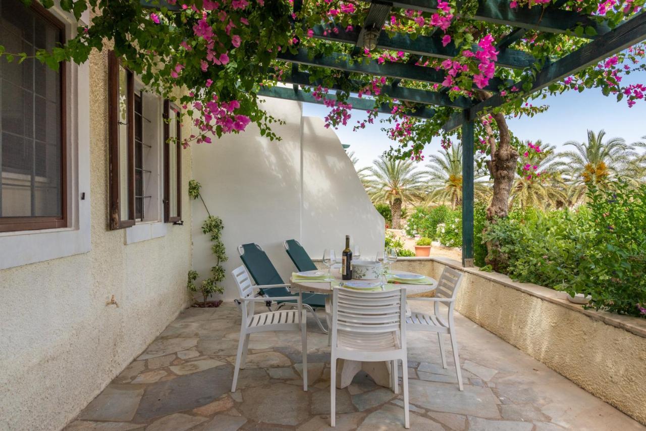 Bougainvillea House In Crete Сітія Екстер'єр фото