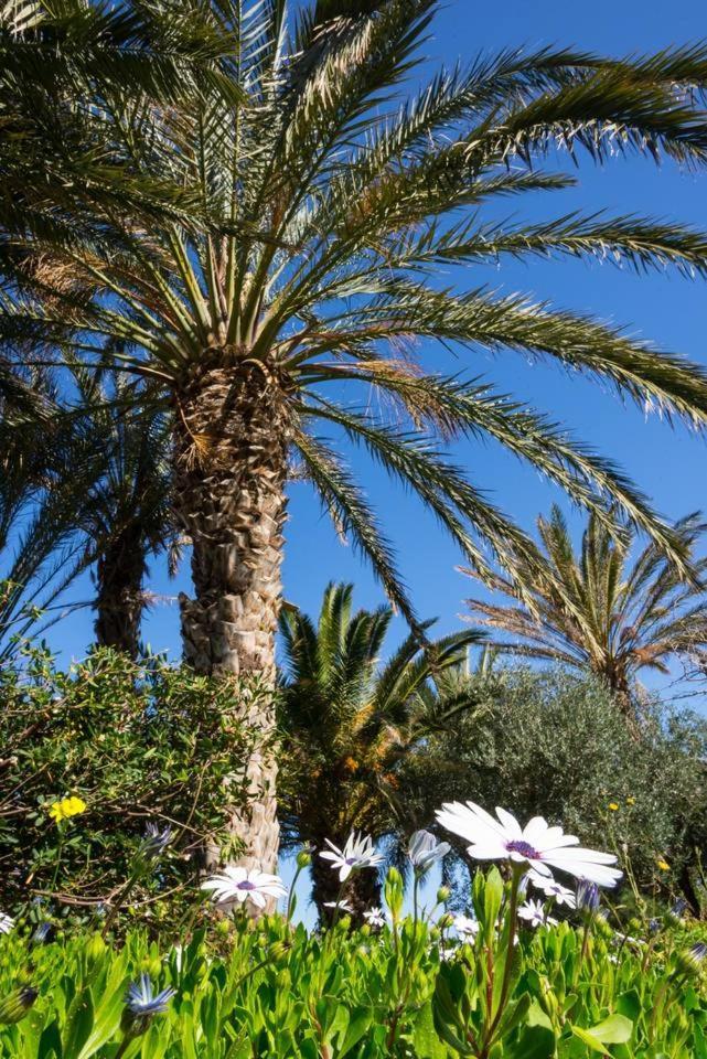 Bougainvillea House In Crete Сітія Екстер'єр фото